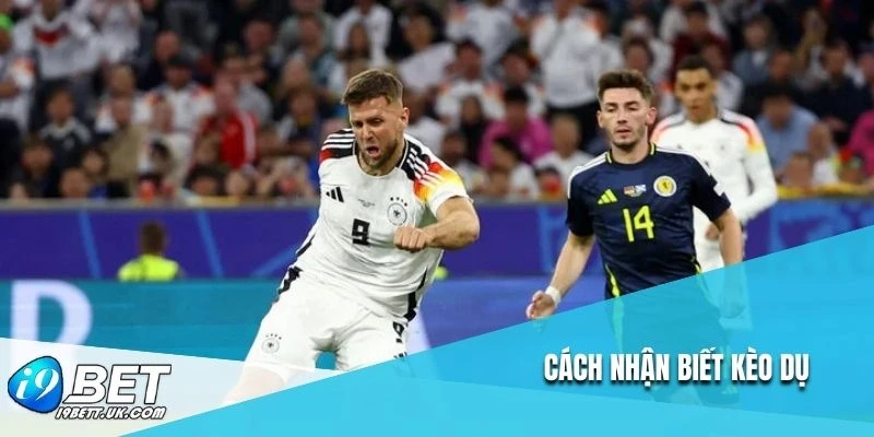 Cách nhận biết kèo dụ 