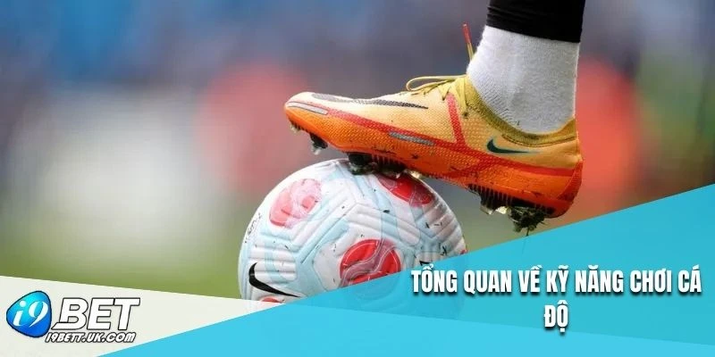 Tổng quan về kỹ năng chơi cá độ