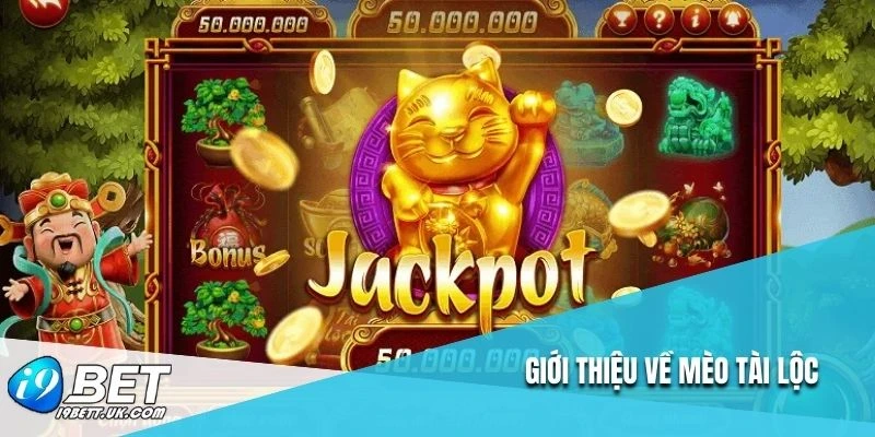 Giới thiệu về mèo tài lộc