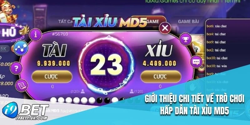 Giới thiệu chi tiết về trò chơi hấp dẫn tài xỉu MD5